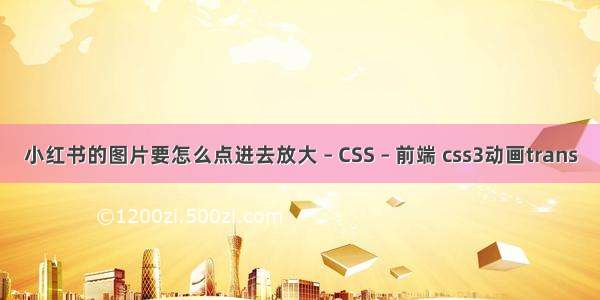 小红书的图片要怎么点进去放大 – CSS – 前端 css3动画trans