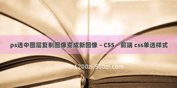 ps选中图层复制图像变成新图像 – CSS – 前端 css单选样式