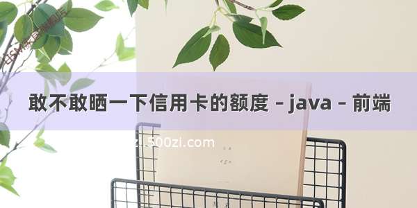 敢不敢晒一下信用卡的额度 – java – 前端