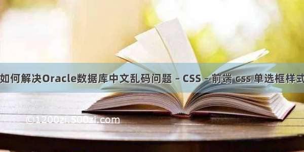 如何解决Oracle数据库中文乱码问题 – CSS – 前端 css 单选框样式