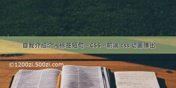 自我介绍个人标签短句 – CSS – 前端 css 动画弹出