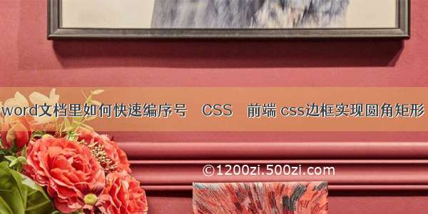 word文档里如何快速编序号 – CSS – 前端 css边框实现圆角矩形