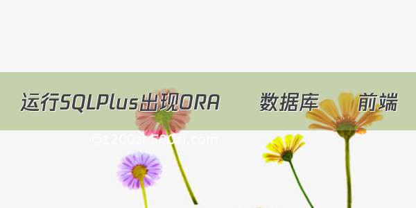 运行SQLPlus出现ORA – 数据库 – 前端