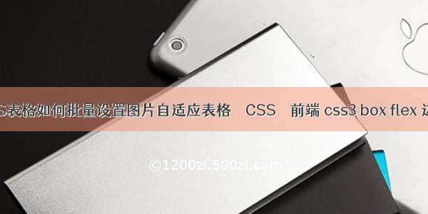 WPS表格如何批量设置图片自适应表格 – CSS – 前端 css3 box flex 边距