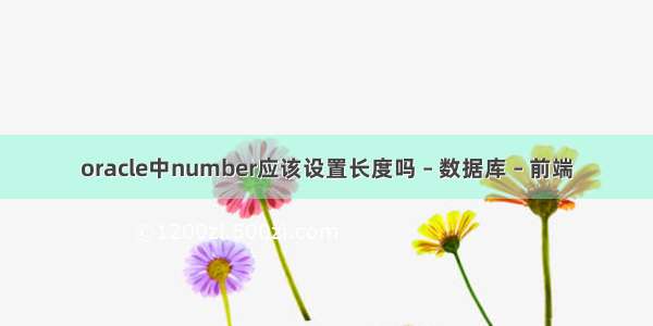 oracle中number应该设置长度吗 – 数据库 – 前端