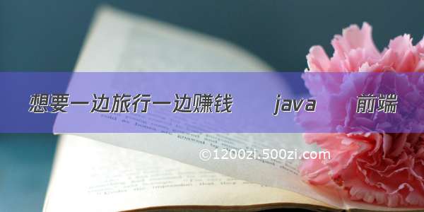 想要一边旅行一边赚钱 – java – 前端