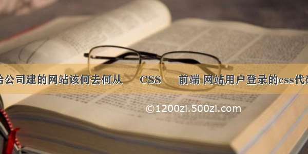 给公司建的网站该何去何从 – CSS – 前端 网站用户登录的css代码