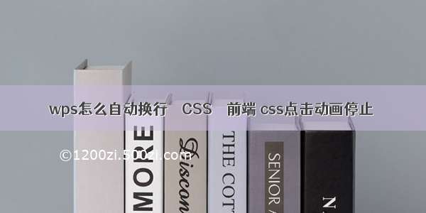 wps怎么自动换行 – CSS – 前端 css点击动画停止