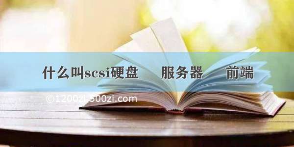 什么叫scsi硬盘 – 服务器 – 前端