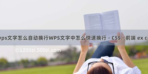 wps文字怎么自动换行WPS文字中怎么快速换行 – CSS – 前端 ex css