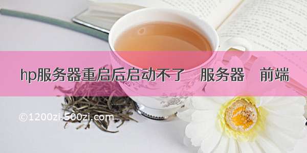 hp服务器重启后启动不了 – 服务器 – 前端