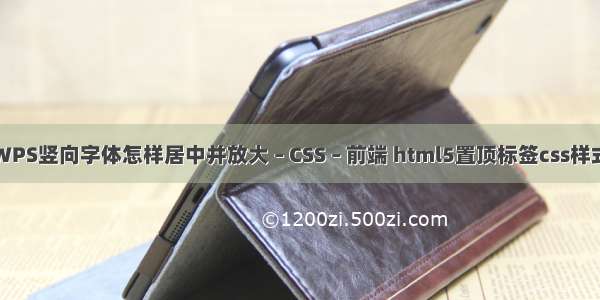 WPS竖向字体怎样居中并放大 – CSS – 前端 html5置顶标签css样式