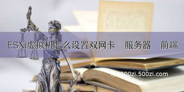 ESXi虚拟机怎么设置双网卡 – 服务器 – 前端