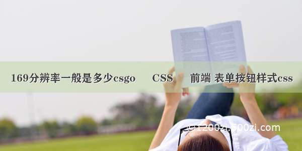 169分辨率一般是多少csgo – CSS – 前端 表单按钮样式css