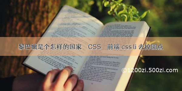 黎巴嫩是个怎样的国家 – CSS – 前端 css li 去掉圆点