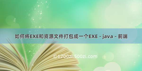 如何将EXE和资源文件打包成一个EXE – java – 前端