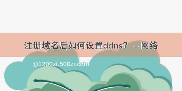 注册域名后如何设置ddns？ – 网络