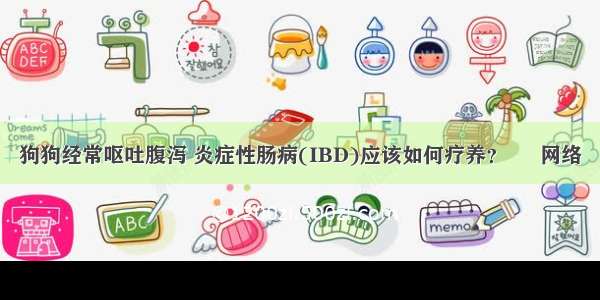 狗狗经常呕吐腹泻 炎症性肠病(IBD)应该如何疗养？ – 网络