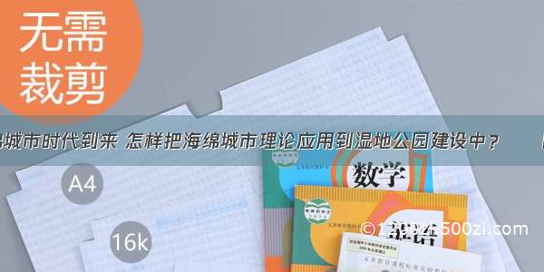 海绵城市时代到来 怎样把海绵城市理论应用到湿地公园建设中？ – 网络