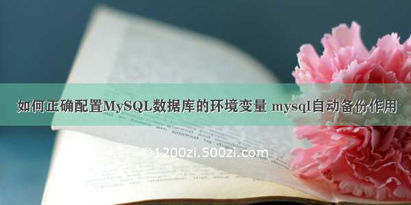 如何正确配置MySQL数据库的环境变量 mysql自动备份作用