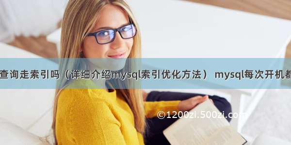 mysql in查询走索引吗（详细介绍mysql索引优化方法） mysql每次开机都要启动项