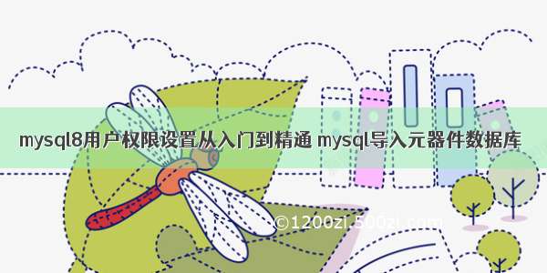 mysql8用户权限设置从入门到精通 mysql导入元器件数据库