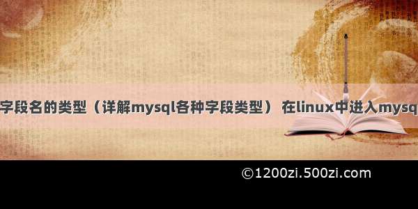 mysql字段名的类型（详解mysql各种字段类型） 在linux中进入mysql数据库