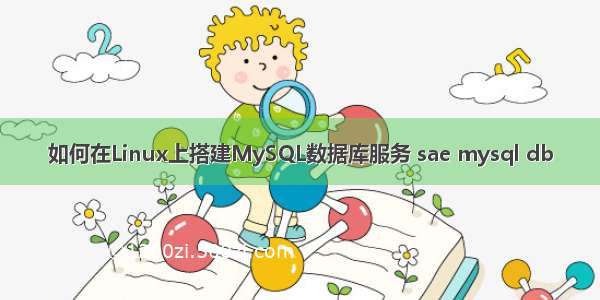 如何在Linux上搭建MySQL数据库服务 sae mysql db