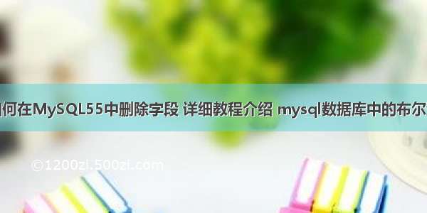 如何在MySQL55中删除字段 详细教程介绍 mysql数据库中的布尔型