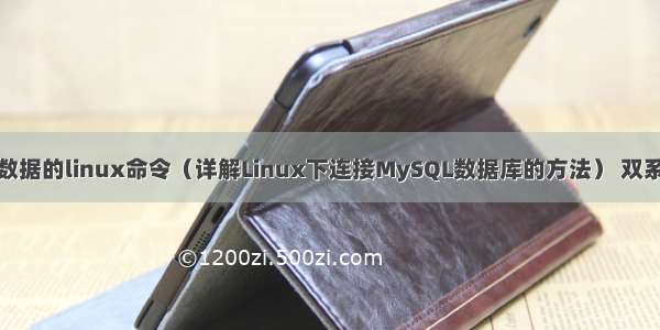 链接mysql数据的linux命令（详解Linux下连接MySQL数据库的方法） 双系统装mysql