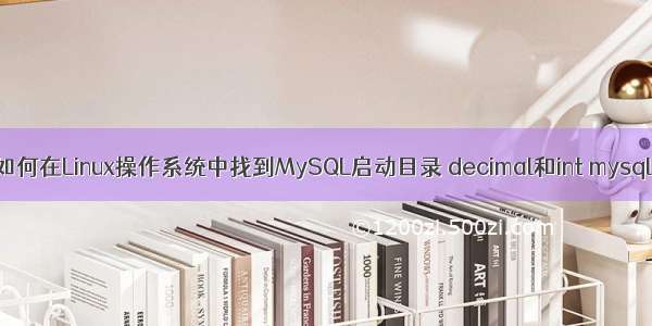 如何在Linux操作系统中找到MySQL启动目录 decimal和int mysql