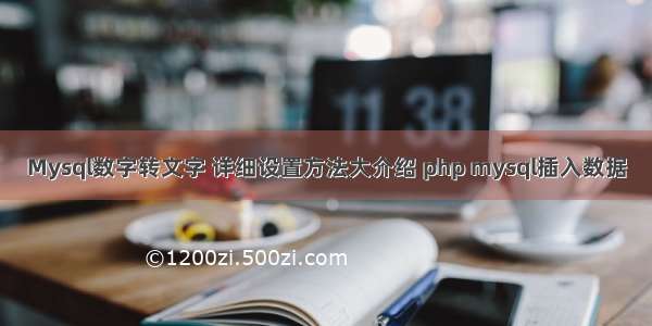 Mysql数字转文字 详细设置方法大介绍 php mysql插入数据