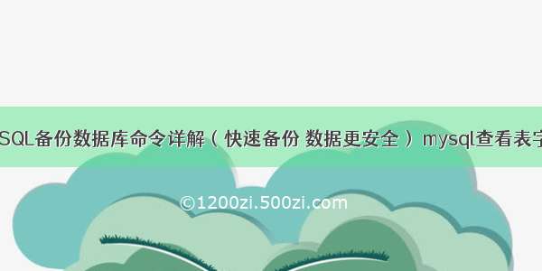 MySQL备份数据库命令详解（快速备份 数据更安全） mysql查看表字符