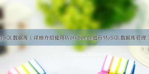 使用Workbench管理MySQL数据库（详细介绍使用Workbench进行MySQL数据库管理） linux mysql同步工具