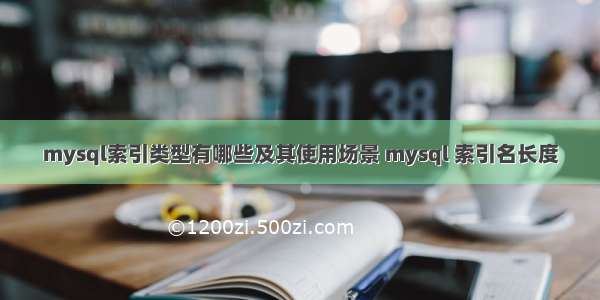 mysql索引类型有哪些及其使用场景 mysql 索引名长度