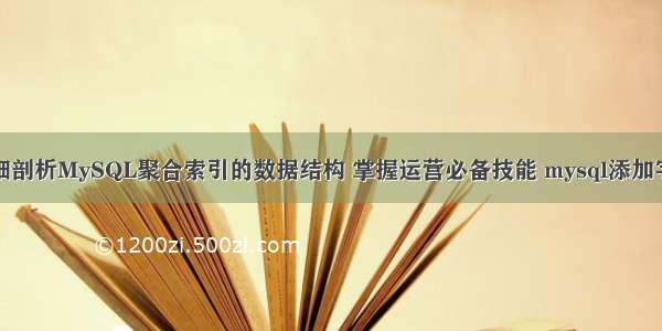 详细剖析MySQL聚合索引的数据结构 掌握运营必备技能 mysql添加字段