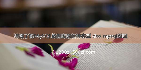 详细了解MySQL数据库的各种类型 dos mysql返回