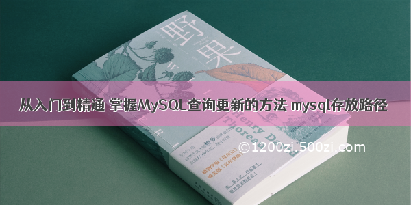 从入门到精通 掌握MySQL查询更新的方法 mysql存放路径