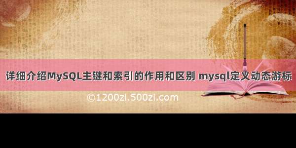 详细介绍MySQL主键和索引的作用和区别 mysql定义动态游标