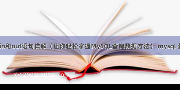 MySQL中的in和out语句详解（让你轻松掌握MySQL查询数据方法） mysql 获取影响行数