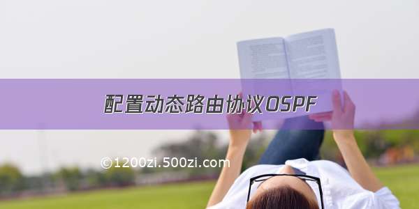 配置动态路由协议OSPF