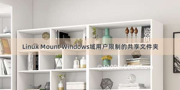 Linux Mount Windows域用户限制的共享文件夹