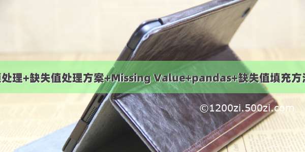 数据预处理+缺失值处理方案+Missing Value+pandas+缺失值填充方法 方案