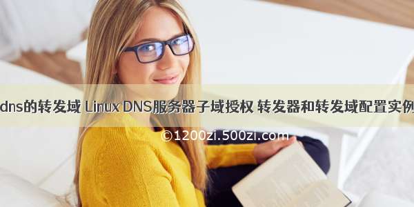 linux的dns的转发域 Linux DNS服务器子域授权 转发器和转发域配置实例（三）