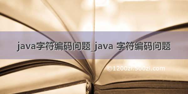 java字符编码问题_java 字符编码问题