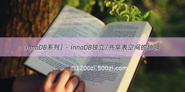 [InnoDB系列] - InnoDB独立/共享表空间的转换