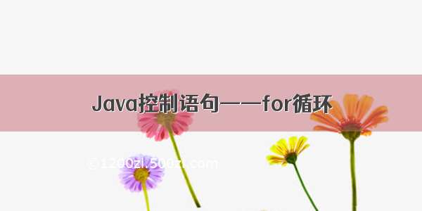 Java控制语句——for循环