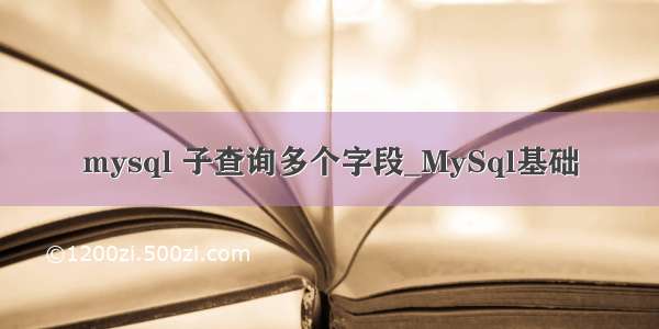 mysql 子查询多个字段_MySql基础