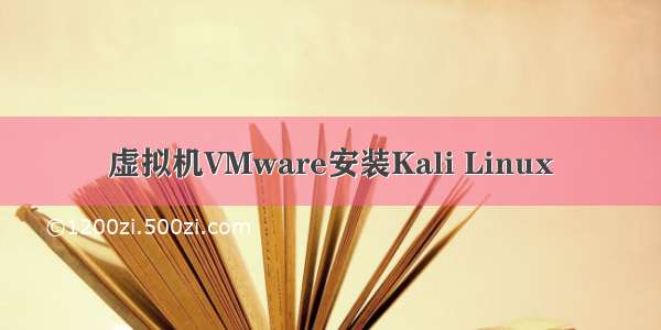 虚拟机VMware安装Kali Linux