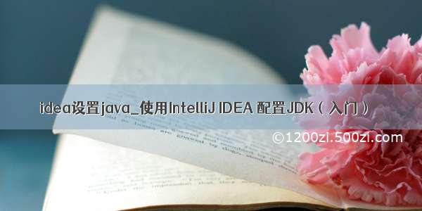 idea设置java_使用IntelliJ IDEA 配置JDK（入门）